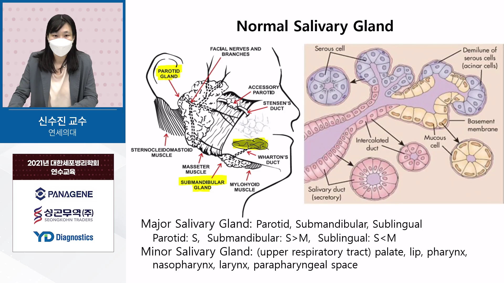 Salivary gland FNA