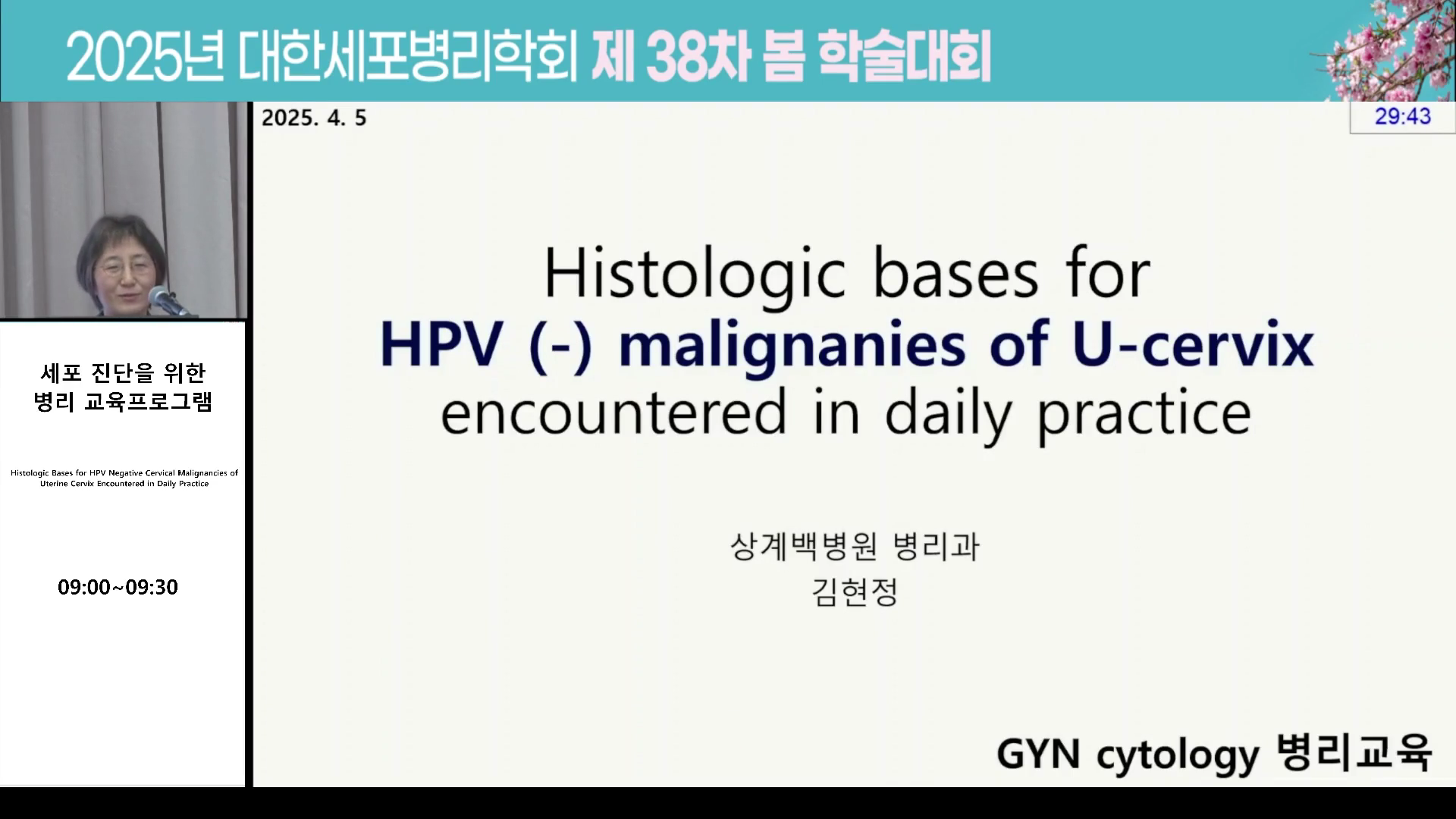 Histologic Bases for HPV Negative Cervical Malignancies of Uterine Cervix Encountered in Daily Practice
